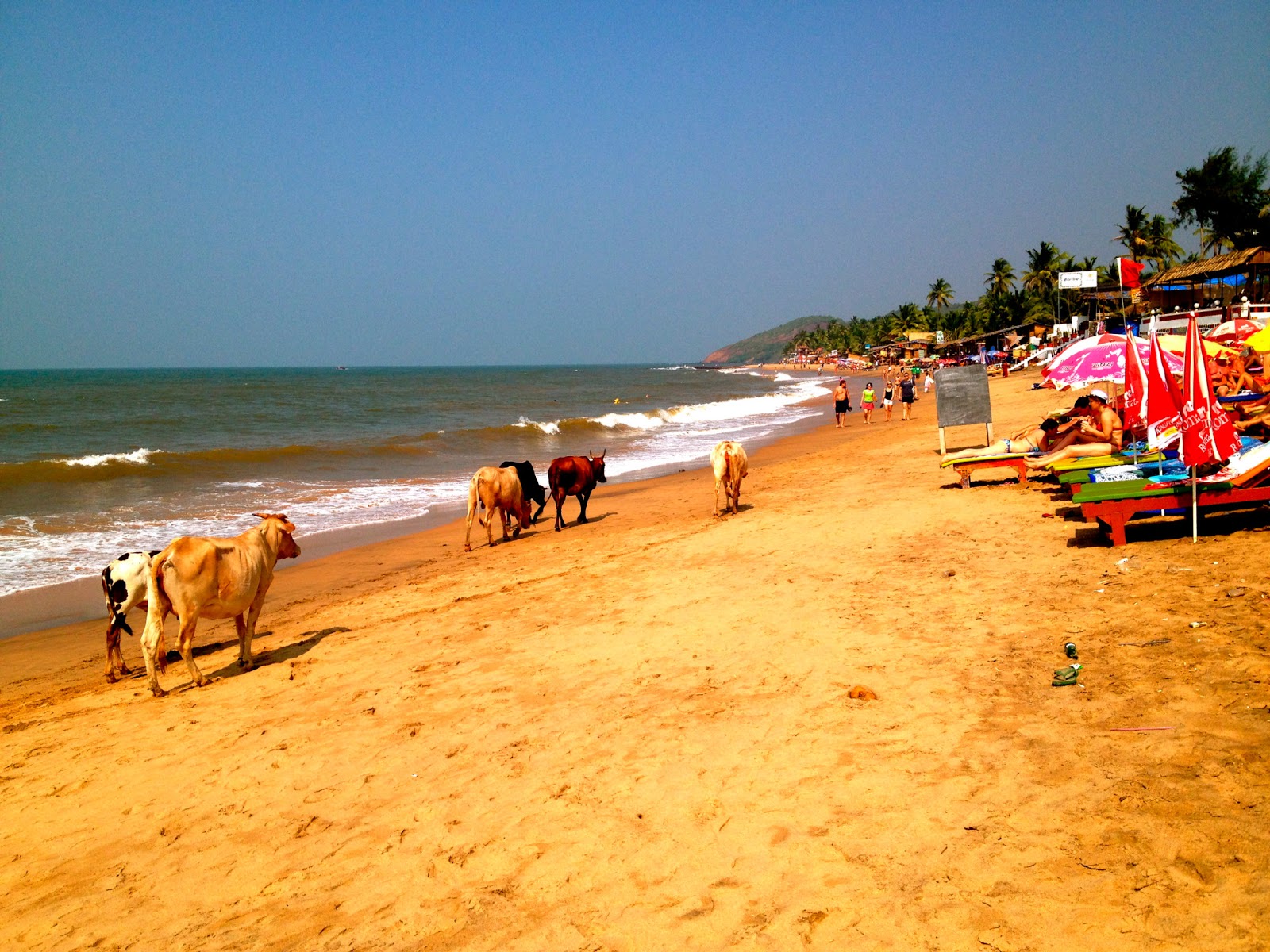 Гоа индия фото пляжей и набережной