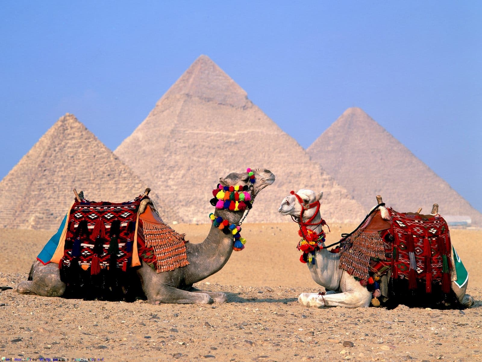 Карта курортов Египта » Travel Guide