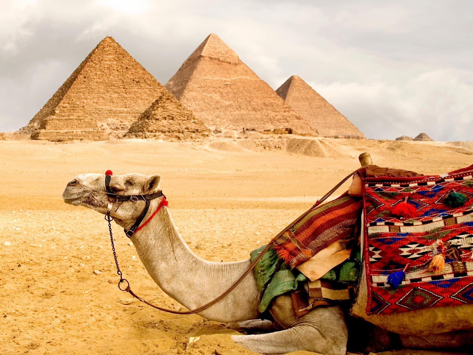 Отдых в Египте в июле, лучшие курорты, советы